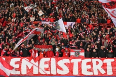 Oesterreich-vs-Bosnien00008