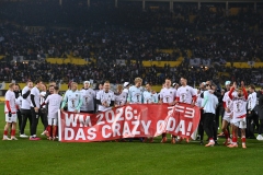 Oesterreich-vs-Bosnien00009