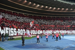 Oesterreich-vs-Bosnien00014