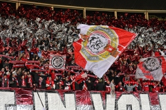 Oesterreich-vs-Bosnien00015