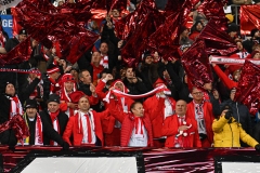 Oesterreich-vs-Bosnien00016