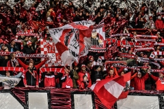 Oesterreich-vs-Bosnien00017