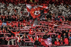 Oesterreich-vs-Bosnien00018