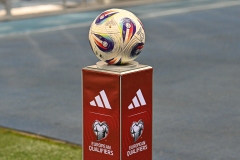 Oesterreich-vs-Bosnien00019