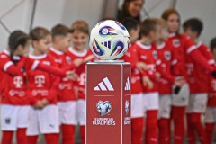 Oesterreich-vs-Bosnien00021