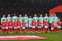 Oesterreich-vs-Bosnien00025