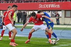 Oesterreich-vs-Bosnien00028