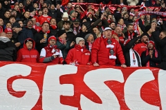 Oesterreich-vs-Bosnien00030