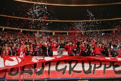 Oesterreich-vs-Bosnien00031