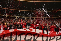 Oesterreich-vs-Bosnien00032