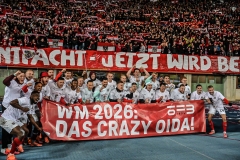 Oesterreich-vs-Bosnien00034