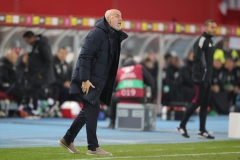 Oesterreich-vs-Bosnien00041