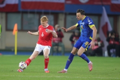 Oesterreich-vs-Bosnien00044