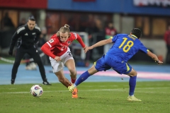 Oesterreich-vs-Bosnien00045