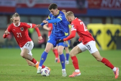 Oesterreich-vs-Bosnien00050