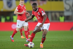 Oesterreich-vs-Bosnien00064