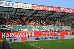 Ried-vs-Sturm00001