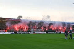 Ried-vs-Sturm00023
