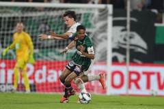 Ried-vs-Sturm00030