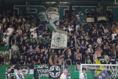 Ried-vs-Sturm00035