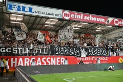 Ried-vs-Sturm00042