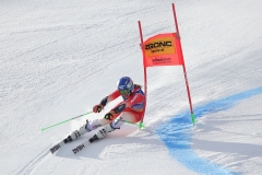 Saalbach-2025-522-von-742