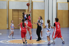 WU12-DBK-Steyrer-Minihexen-DBB-Hannibal-Wels00055