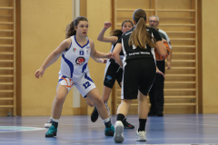 WU14-DBB-Staplerprofi-Basketgirls-Wels-DBK-Steyrer-Young-Witches-00054