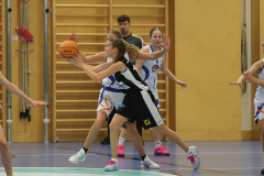 WU14-DBB-Staplerprofi-Basketgirls-Wels-DBK-Steyrer-Young-Witches-00064