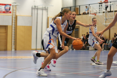 WU14-DBB-Staplerprofi-Basketgirls-Wels-DBK-Steyrer-Young-Witches-00072