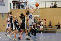 WU14-DBB-Staplerprofi-Basketgirls-Wels-DBK-Steyrer-Young-Witches-00090