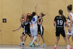 WU14-DBB-Staplerprofi-Basketgirls-Wels-DBK-Steyrer-Young-Witches-00100