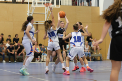 WU14-DBB-Staplerprofi-Basketgirls-Wels-DBK-Steyrer-Young-Witches-00103