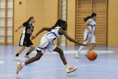 WU14-DBB-Staplerprofi-Basketgirls-Wels-DBK-Steyrer-Young-Witches-00129