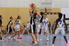WU14-DBB-Staplerprofi-Basketgirls-Wels-DBK-Steyrer-Young-Witches-00134